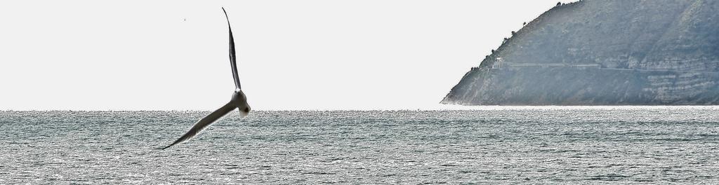 Badano Sul Mare Hotel